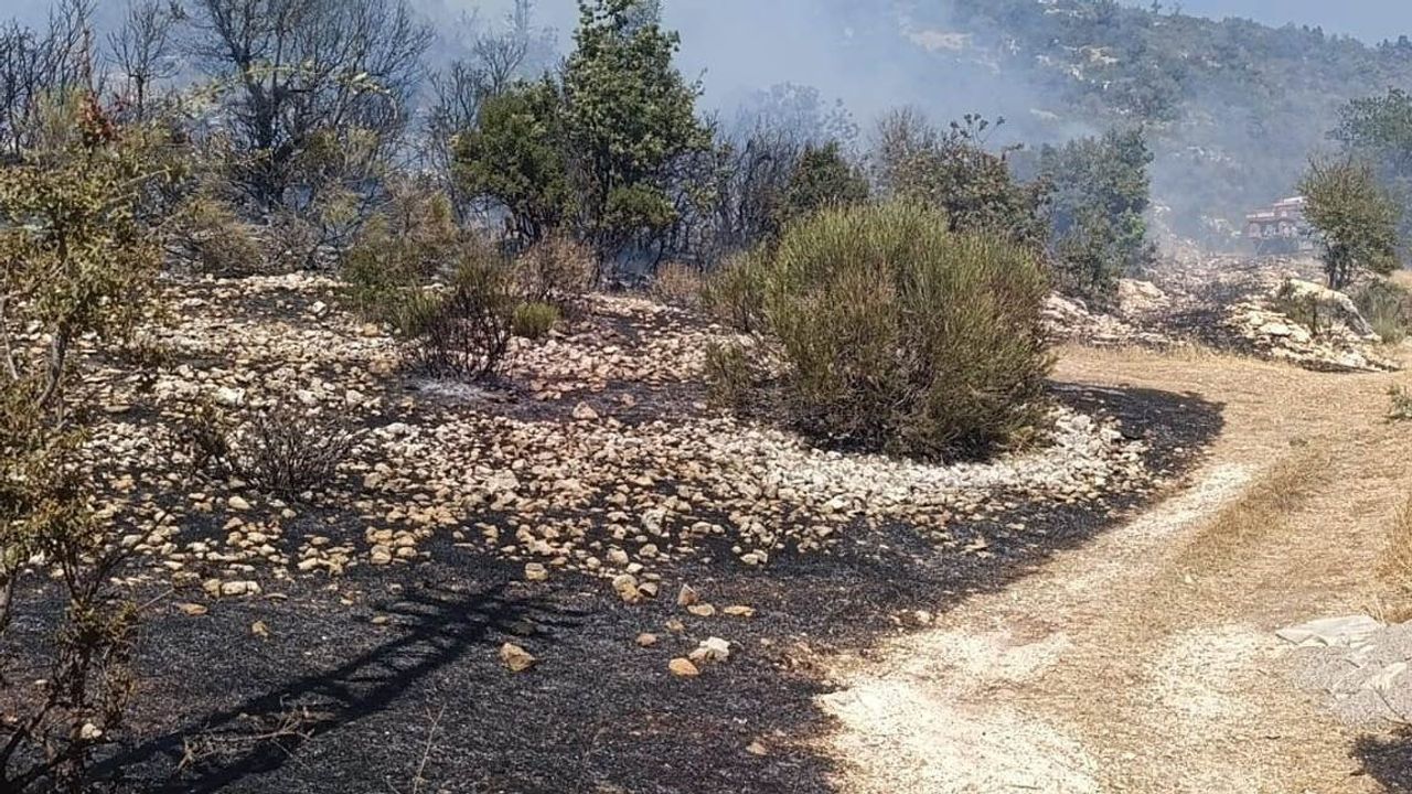 Silifke'de bahçe yangını ekiplerin hızlı müdahalesiyle evlere ve ormana sıçramadan durduruldu