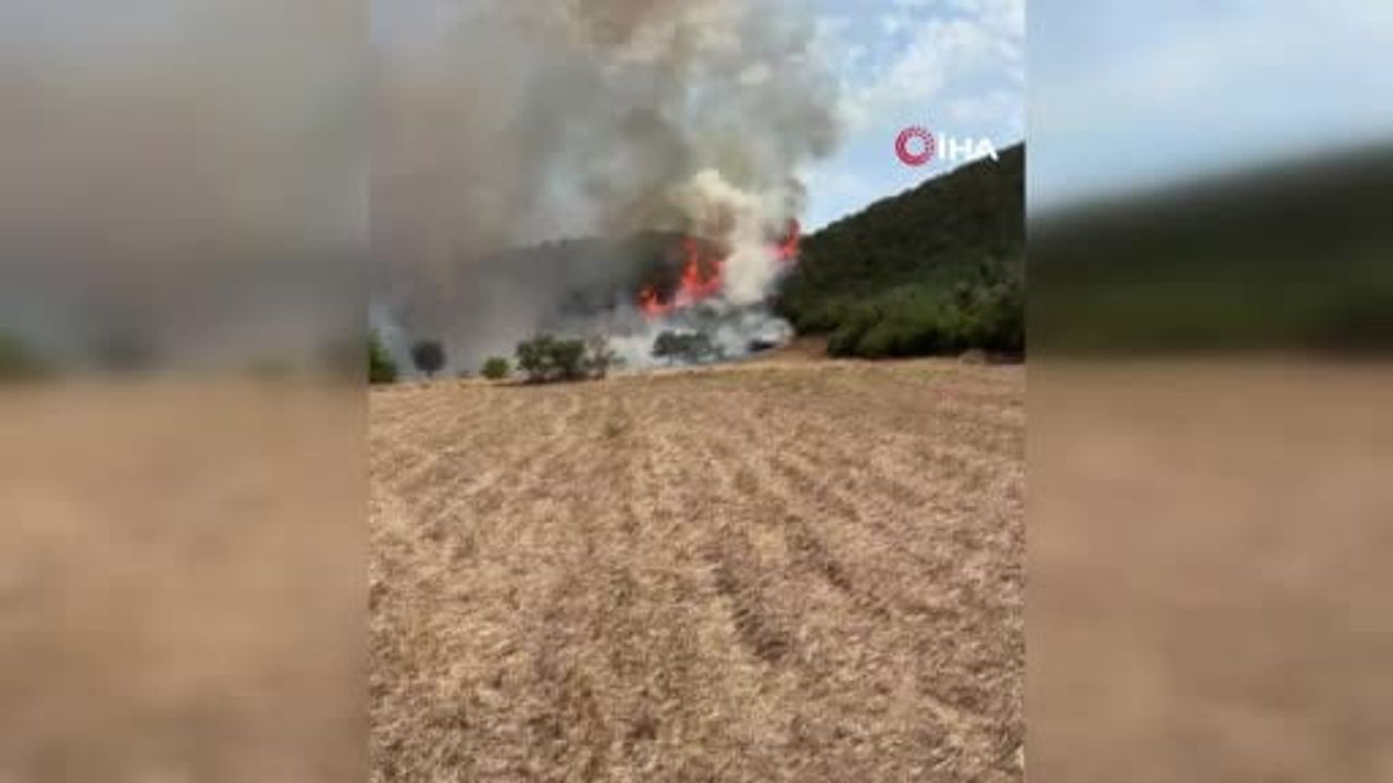sındırgı çelebiler'de orman yangınına havadan ve karadan müdahale sürüyor
