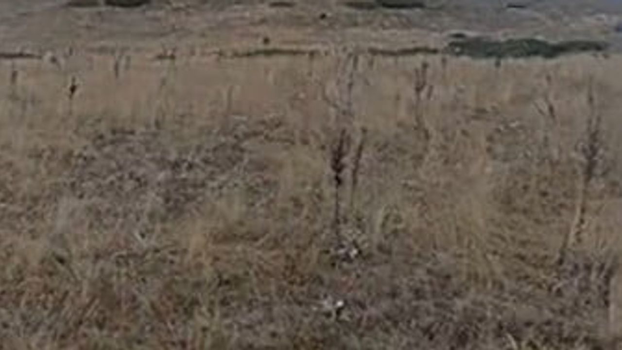 Sınırdaki ormanda alevler yükseldi: Kızılcahamam ile Çerkeş arasında yangın