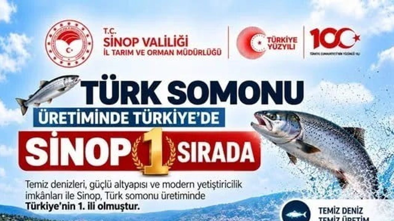 Sinop merkezli üretimle Türk somonu dünya pazarına açılıyor
