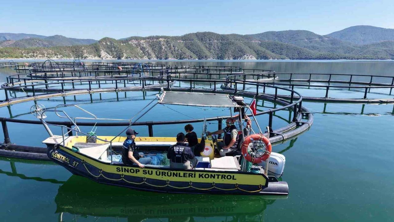 Sinop'ta türk somonu üretim tesislerinde kapsamlı denetim