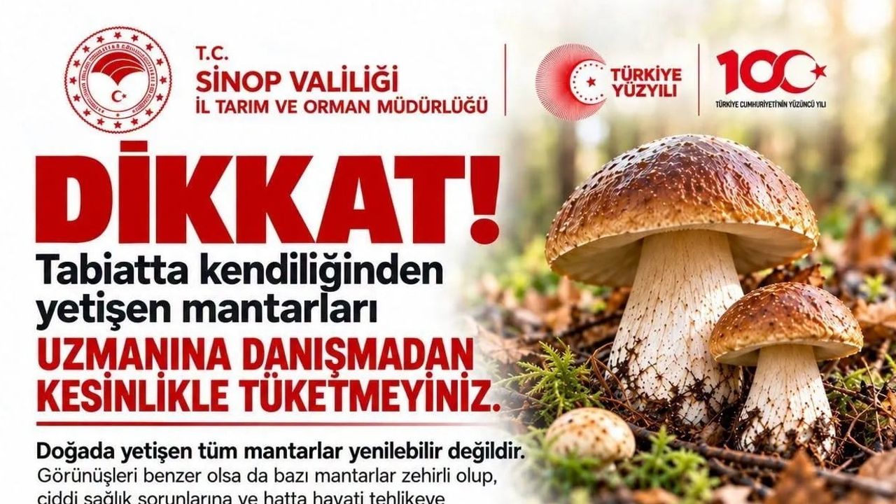 Sinop'tan uyarı: doğadan toplanan mantarlar ciddi sağlık riski taşıyabilir