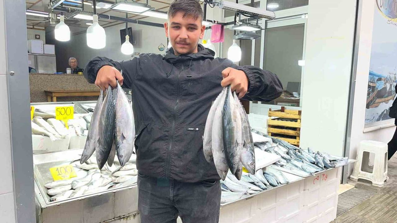 Sinop tezgâhlarında palamut bolluğu: fiyat 50 liraya kadar düştü