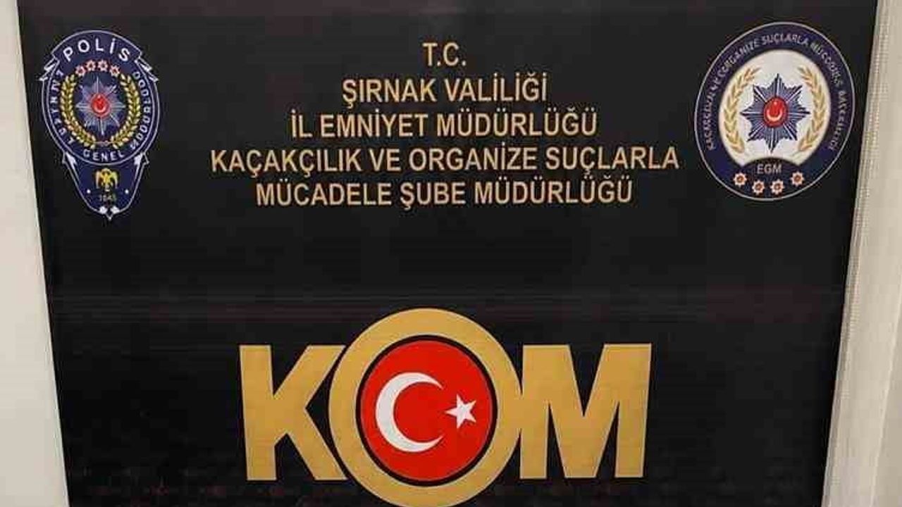 Şırnak'ta Habur Gümrük Sınır Kapısı'na uzanan operasyon: 14,35 milyon liralık kaçak malzeme ele geçirildi