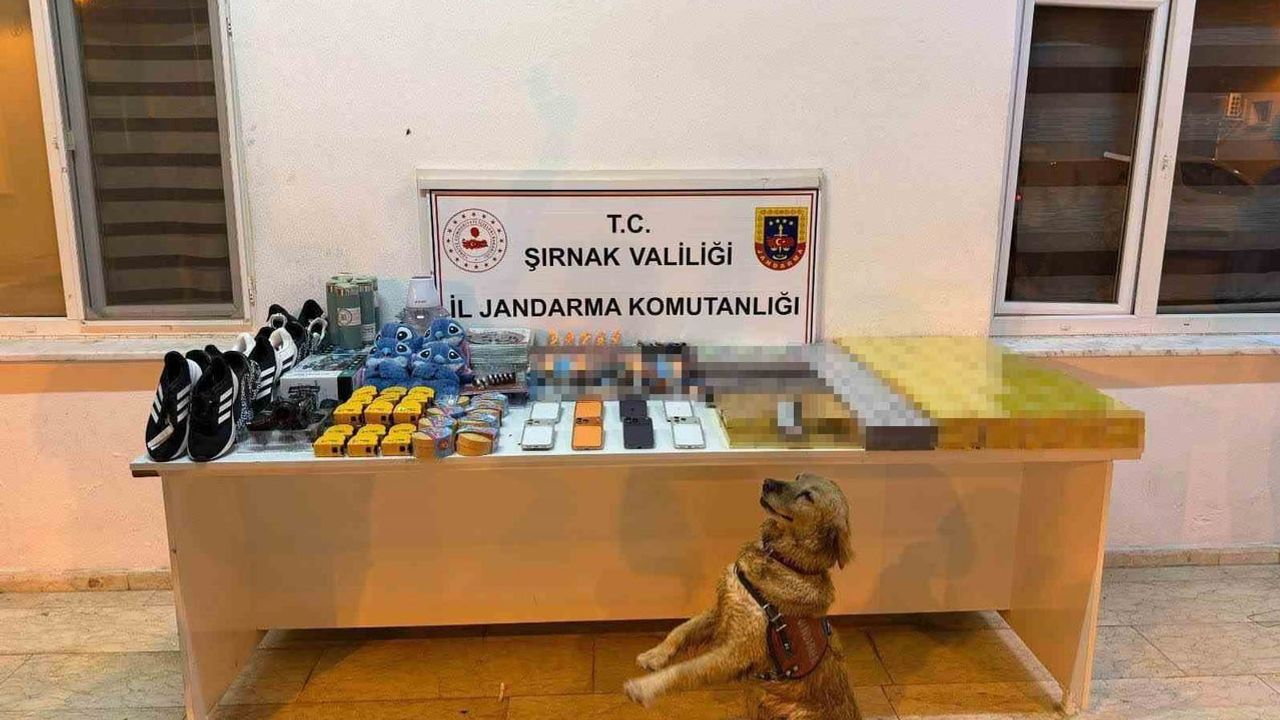 Şırnak'ta istihbaratlı operasyonda 196 şüpheliye yasal işlem