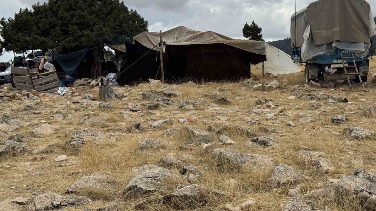 Son deveci Sarıkeçili'nin izinde: Kuş Ali 73 yaşında göç yollarında