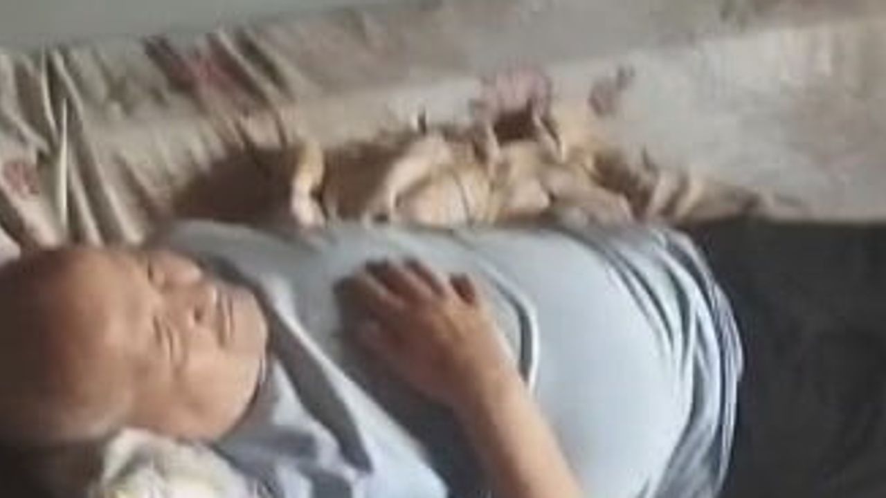 Sultangazi'de çatı arasını mesken tutan arılar aileyi endişeye sürükledi