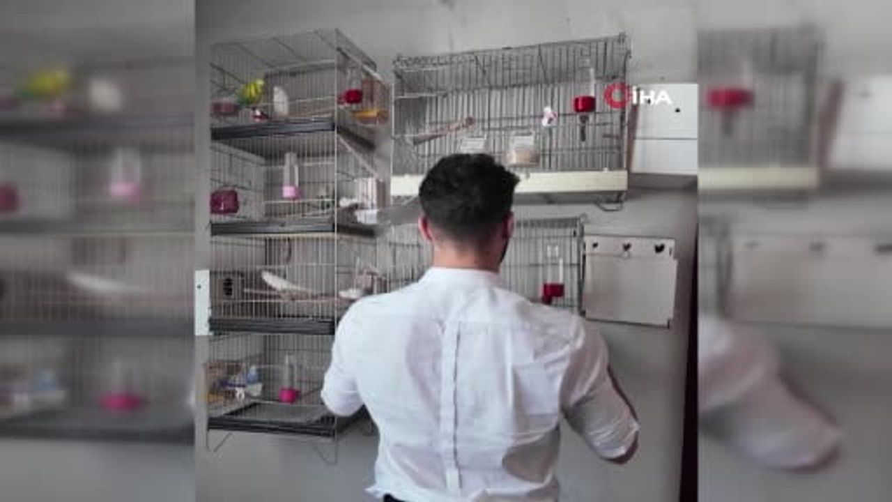Suriyelilerin gönüllü dönüşünde destek ve teşekkür vurgusu