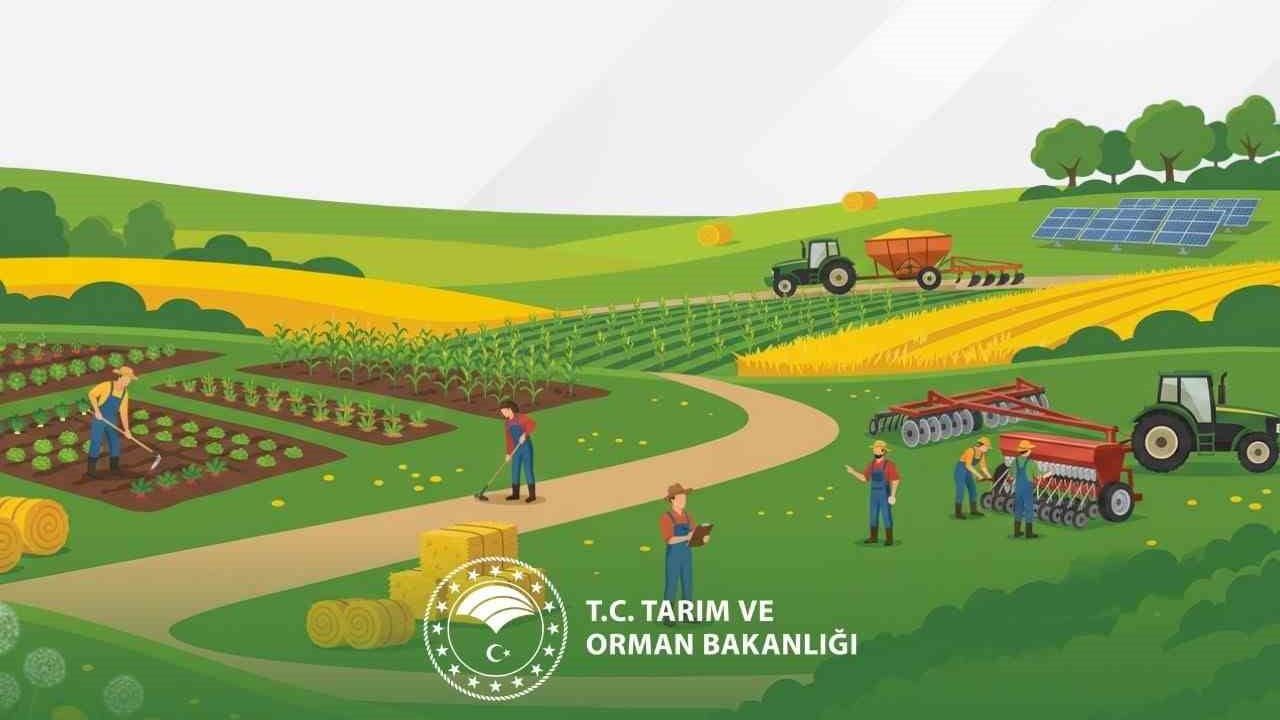 tarım destek paketleriyle üreticiye güvence sağlandı: kapsamlı artışlar Resmi Gazete’de yayımlandı