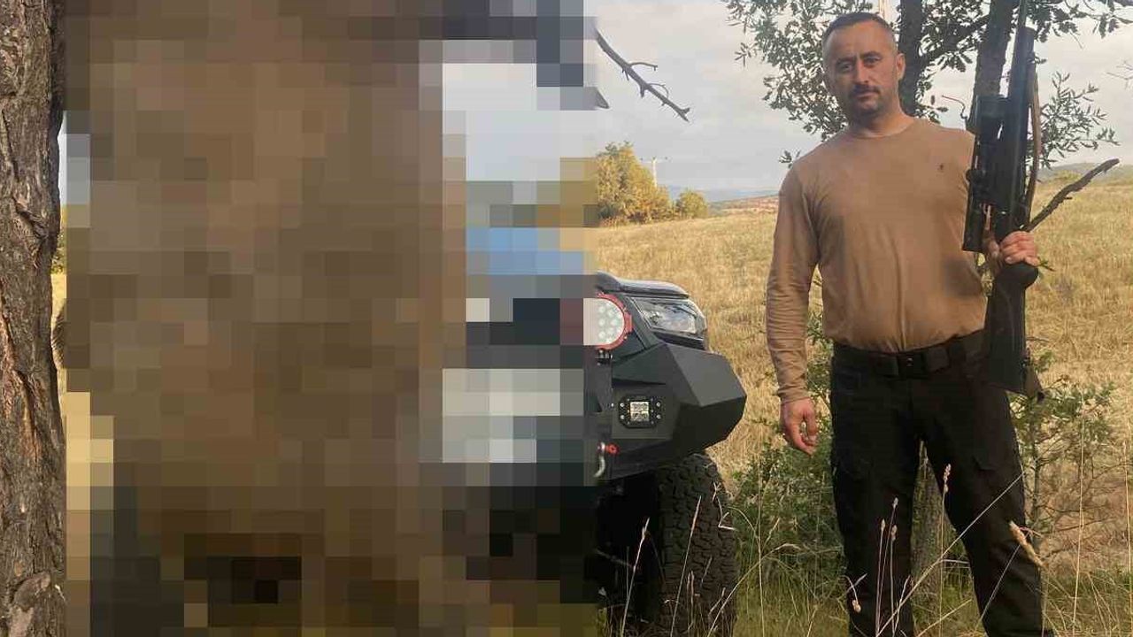Tarım tarlalarını talan eden 410 kiloluk yaban domuzu Akdağmadeni’nde öldürüldü