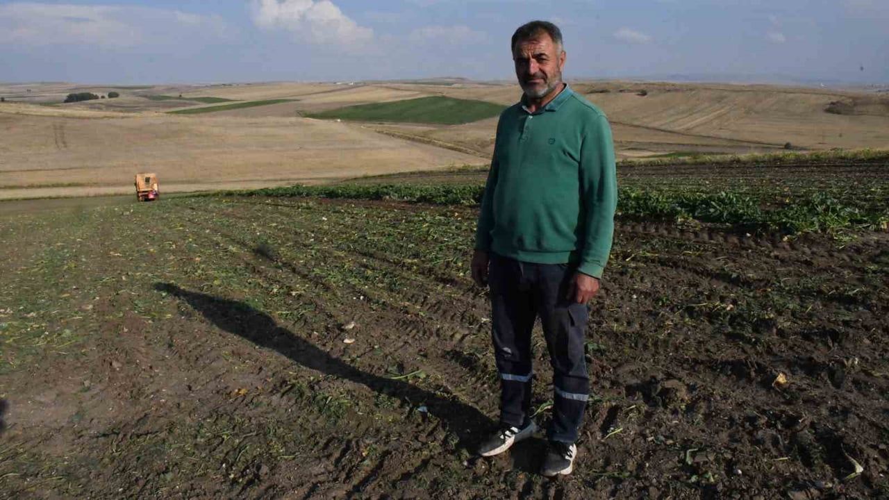 Tarladan fabrikaya umut: Yozgat Battal köyünde şeker pancarı hasadı başladı
