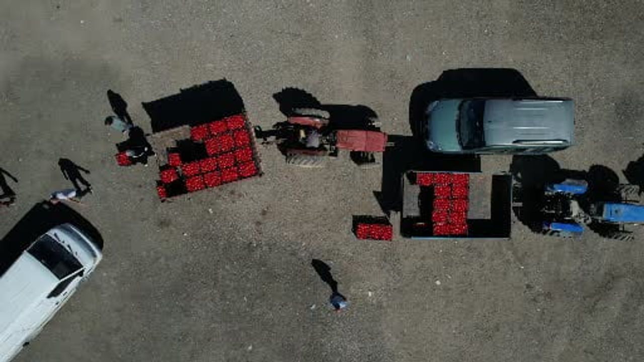 Tarladan tezgaha: Geyve'de aracıyı dışlayan ürün toplama modeli