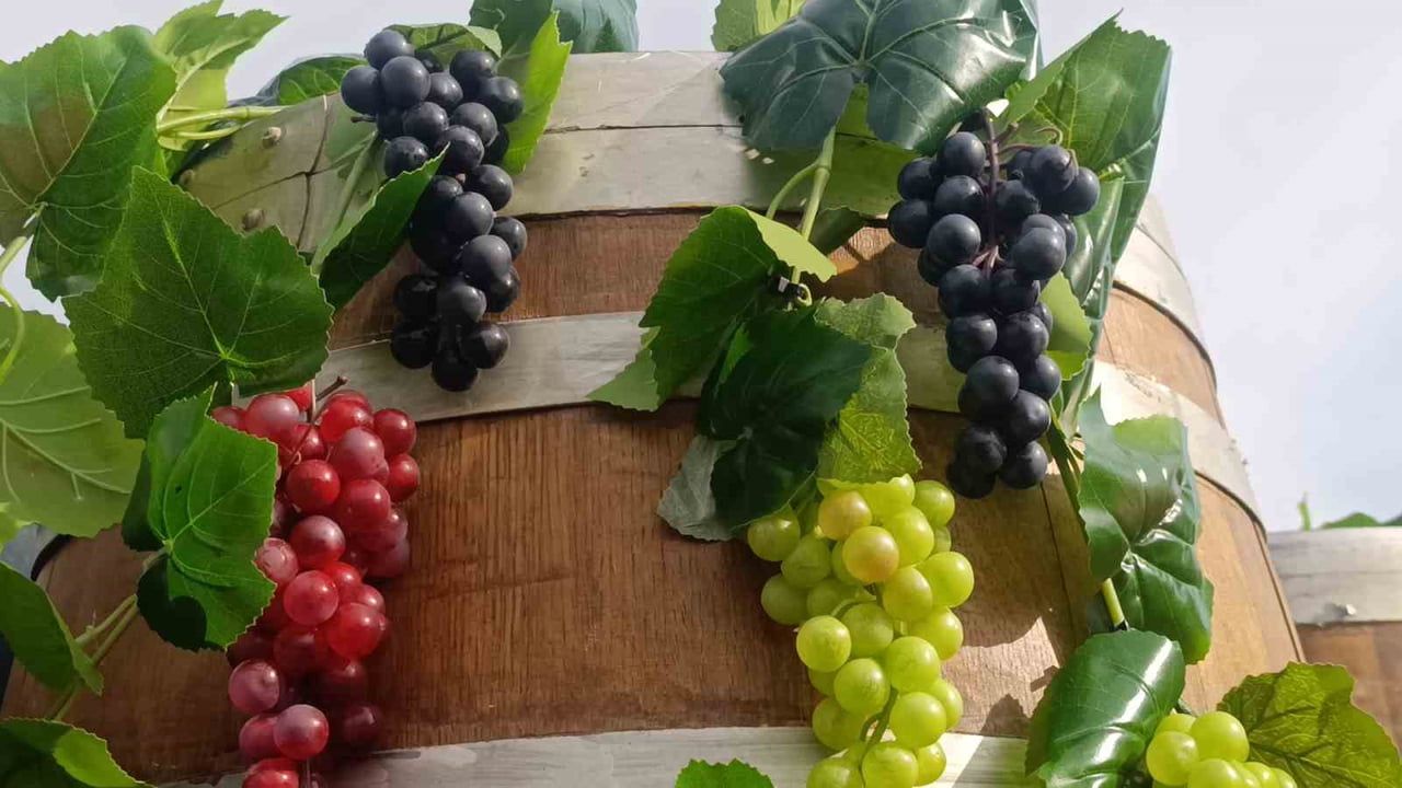 Tekirdağ’da gastronomi ve bağcılığın buluştuğu yeni festival kapılarını açtı