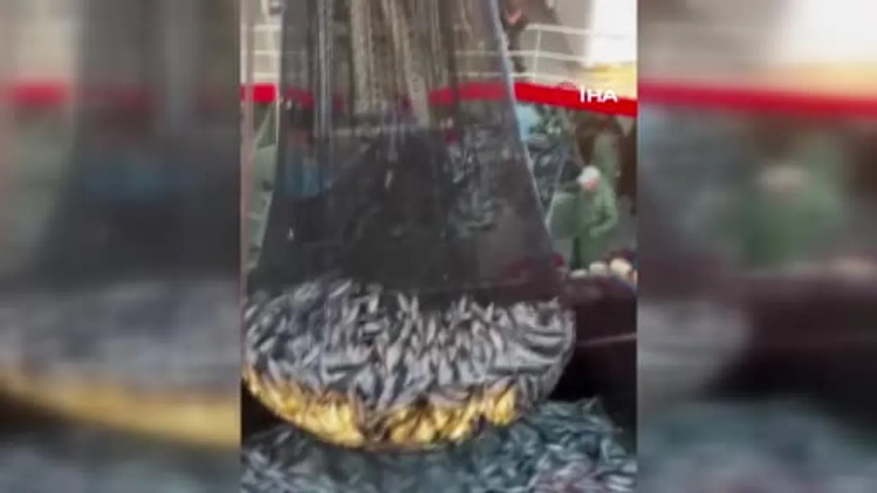 Tekirdağ'da palamut bereketi tezgahlara yansıdı