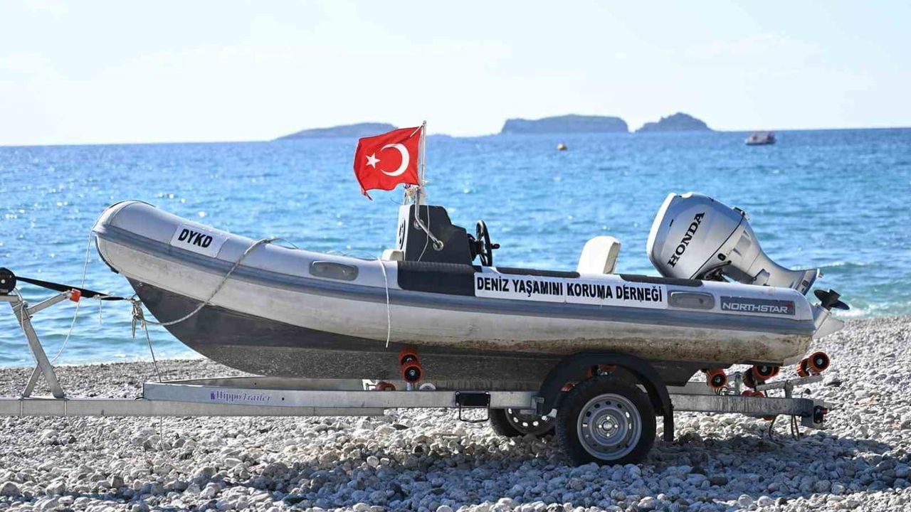 Tekirova sahilinde deniz yaşamını korumaya yönelik kapsamlı restorasyon programı başlatıldı