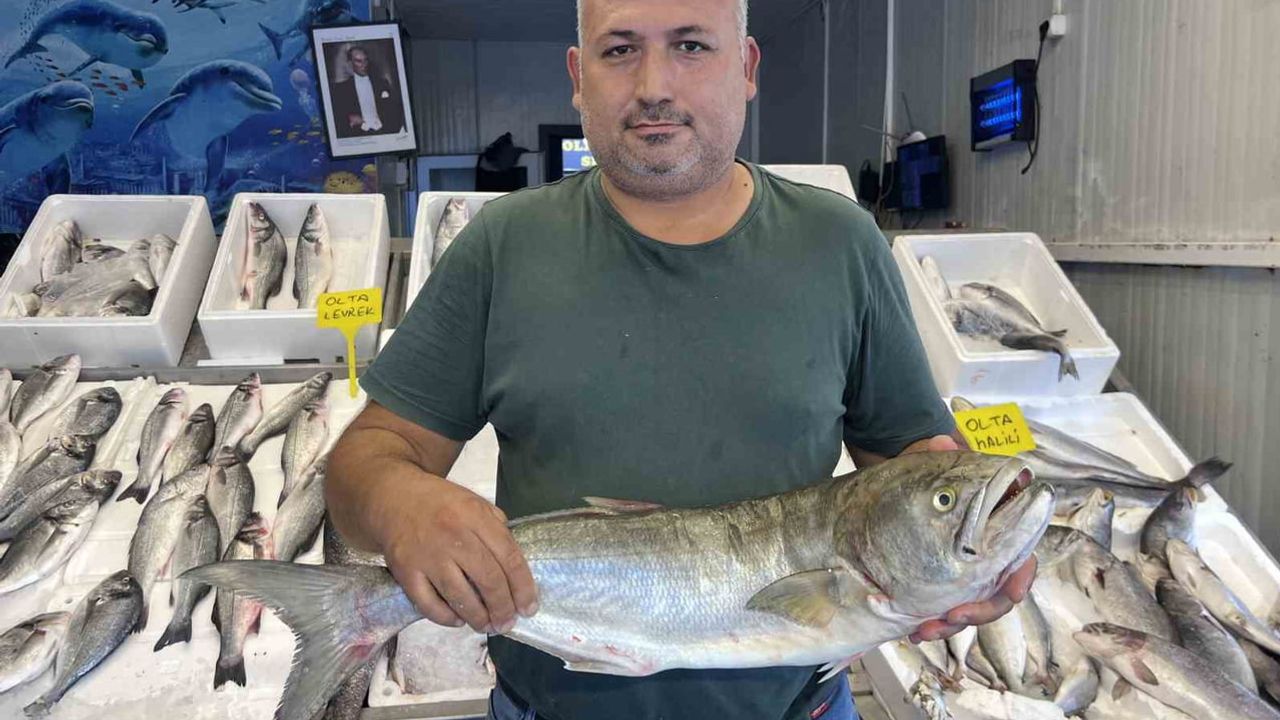 Tezgahlar canlandı: Mersin'de yeni av sezonunun bereketi