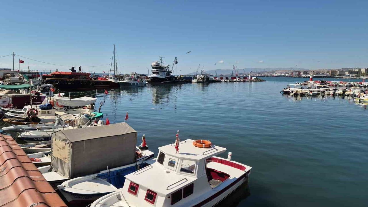 Tezgahlarda yeni sezonun morali: palamut bereketi Tekirdağ'da yüzleri güldürdü