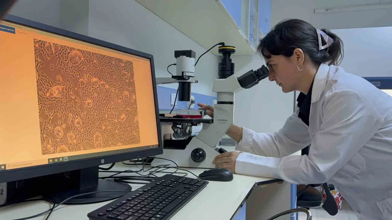 TOGÜ'lü ekipten redoks-duyarlı nanotaşıyıcı ile hedefe yönelik antikanser ilaç sistemi çalışması