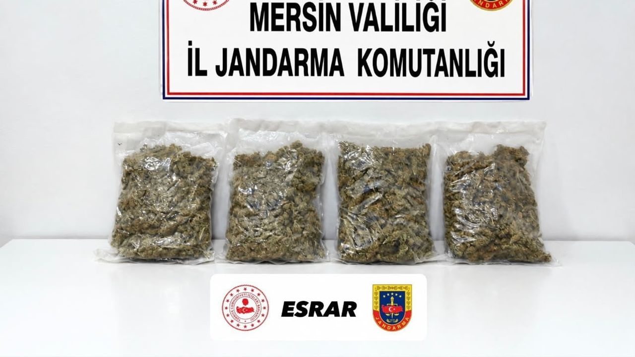 Toroslar'da jandarmadan uyuşturucuya operasyon: 2 kilo esrar, iki şüpheli gözaltında
