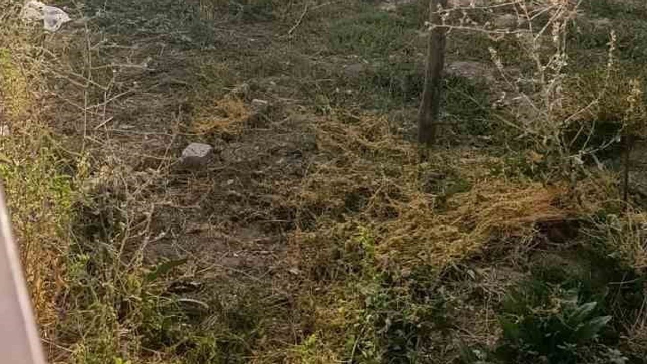 Tuşba'da pompalı tüfekle okula gelen öğrenci okul çevresinde panik yarattı