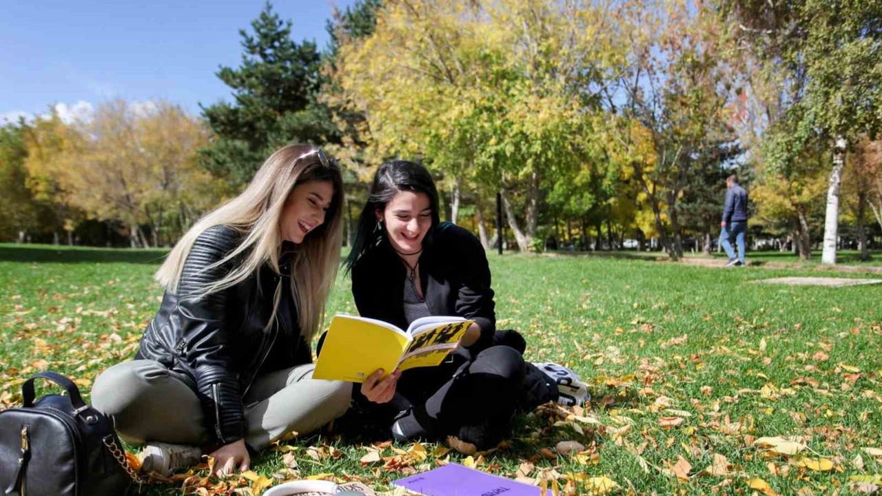 üniversite öğrencilerinin ağaç algısında eğitim ve çevre belirleyici çıktı