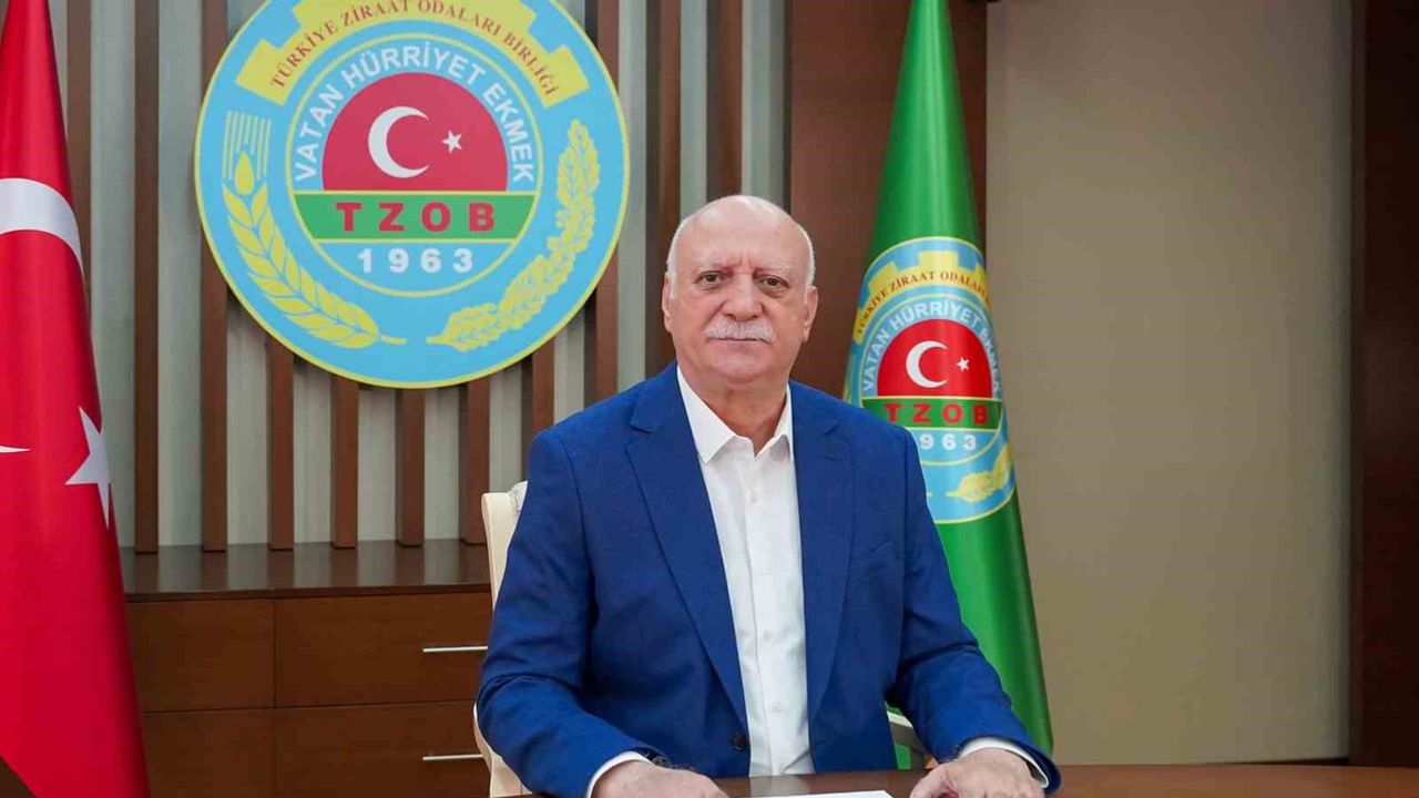 Üreticide limon sert değer kaybı yaşarken markette sivri biber en çok geriledi