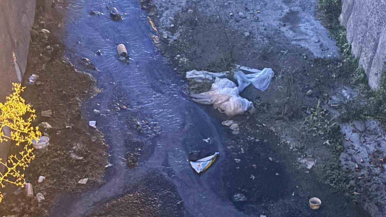 Urla'da derenin kokusu ve görüntüsü mahalleliyi harekete geçirdi