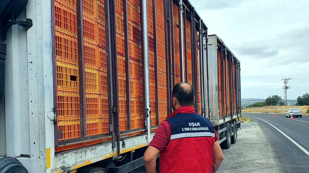 Uşak'ta hayvan sağlığını korumaya yönelik yol denetimleri sıklaştı