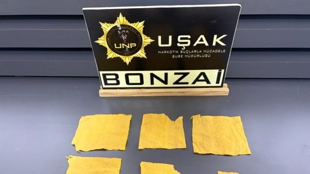 Uşak'ta sentetik madde operasyonunda 14 zanlı cezaevine gönderildi