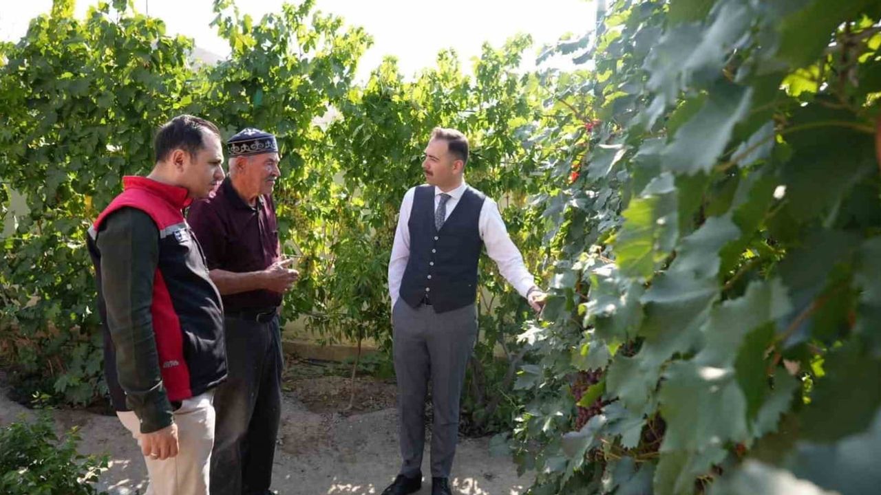 Üzümlü'de kaymakam üretimden teknolojiye tarımı yerinde değerlendirdi