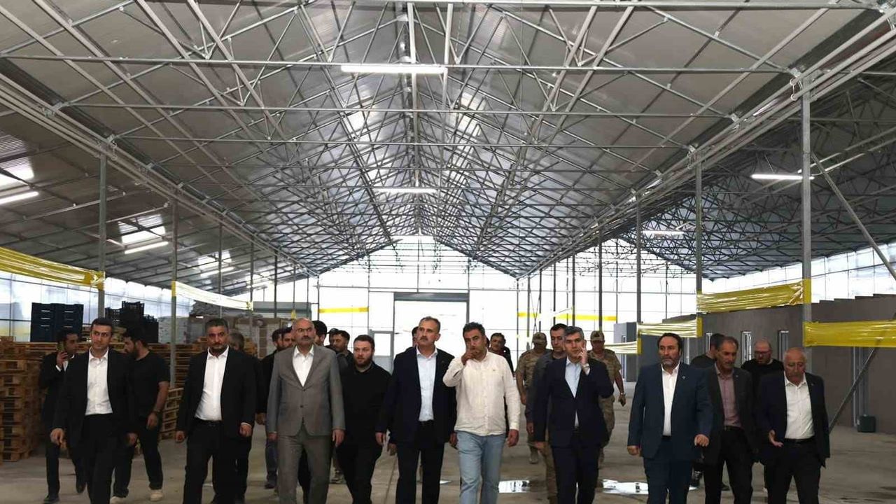 Vali Önder Bozkurt, Diyadin jeotermal sera OSB projesinin ilerleyişini yerinde değerlendirdi
