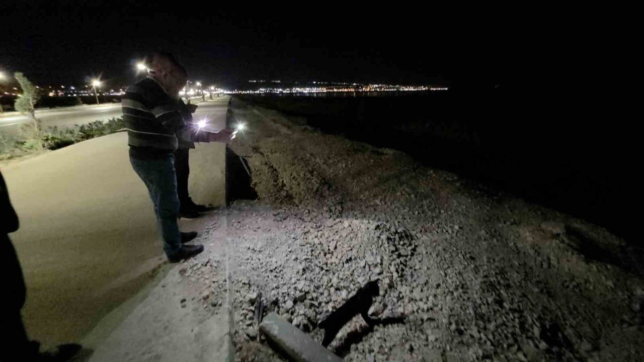 Van gölünde beklenmedik dostluk: kedi fareyle saatlerce oynadı