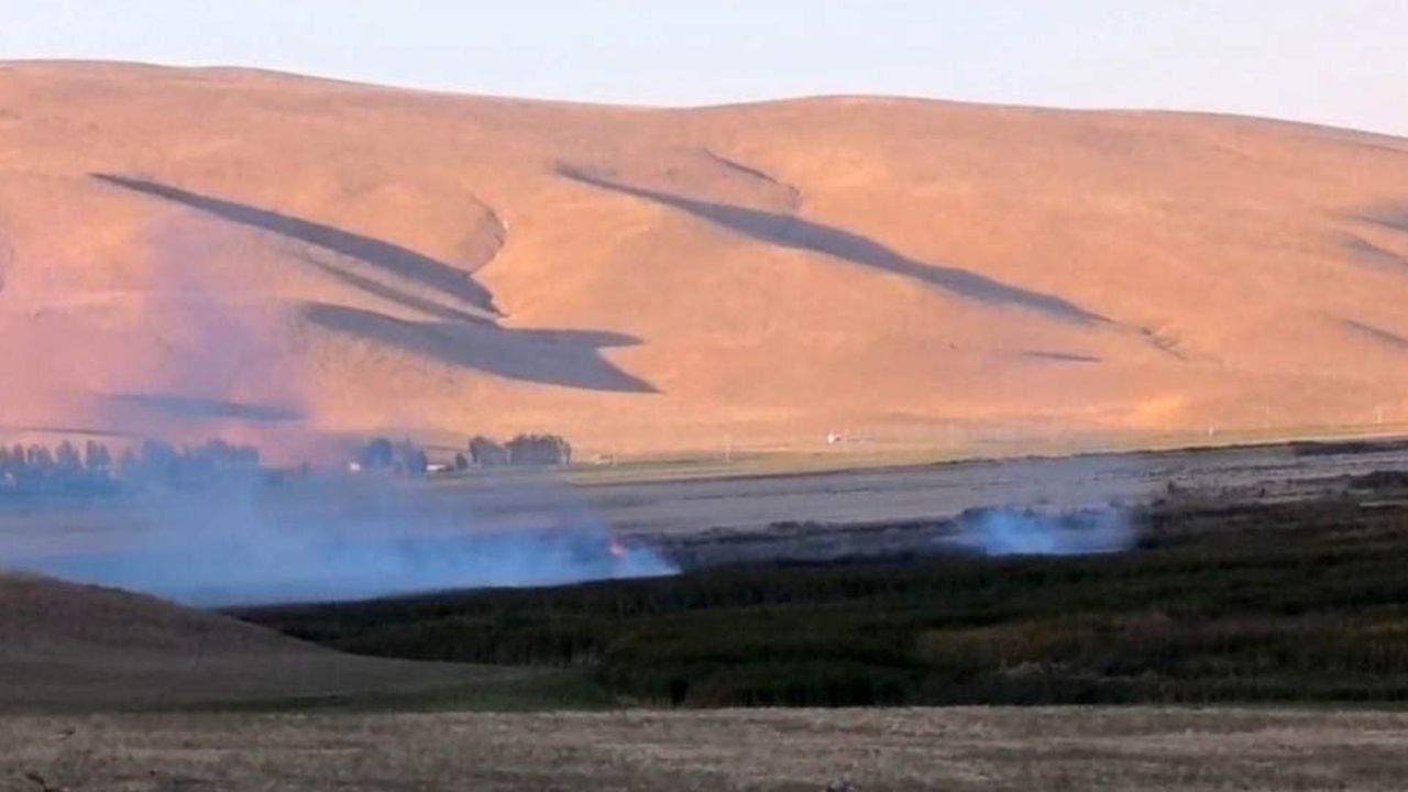 Van’ın Çırak Sazlığı'nda çıkan yangın ekolojik kaygı yarattı