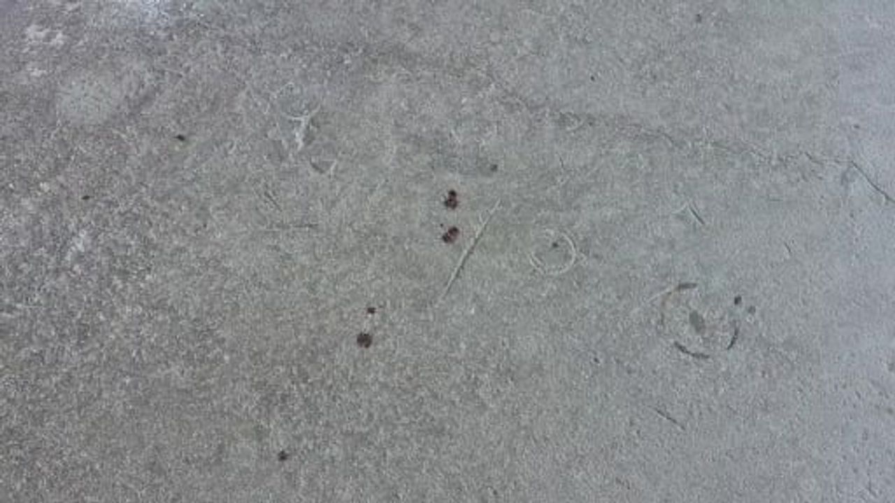 Veresiye talebi reddedilen hırdavatçı Cafer Ökçe'ye tabancayla saldırı
