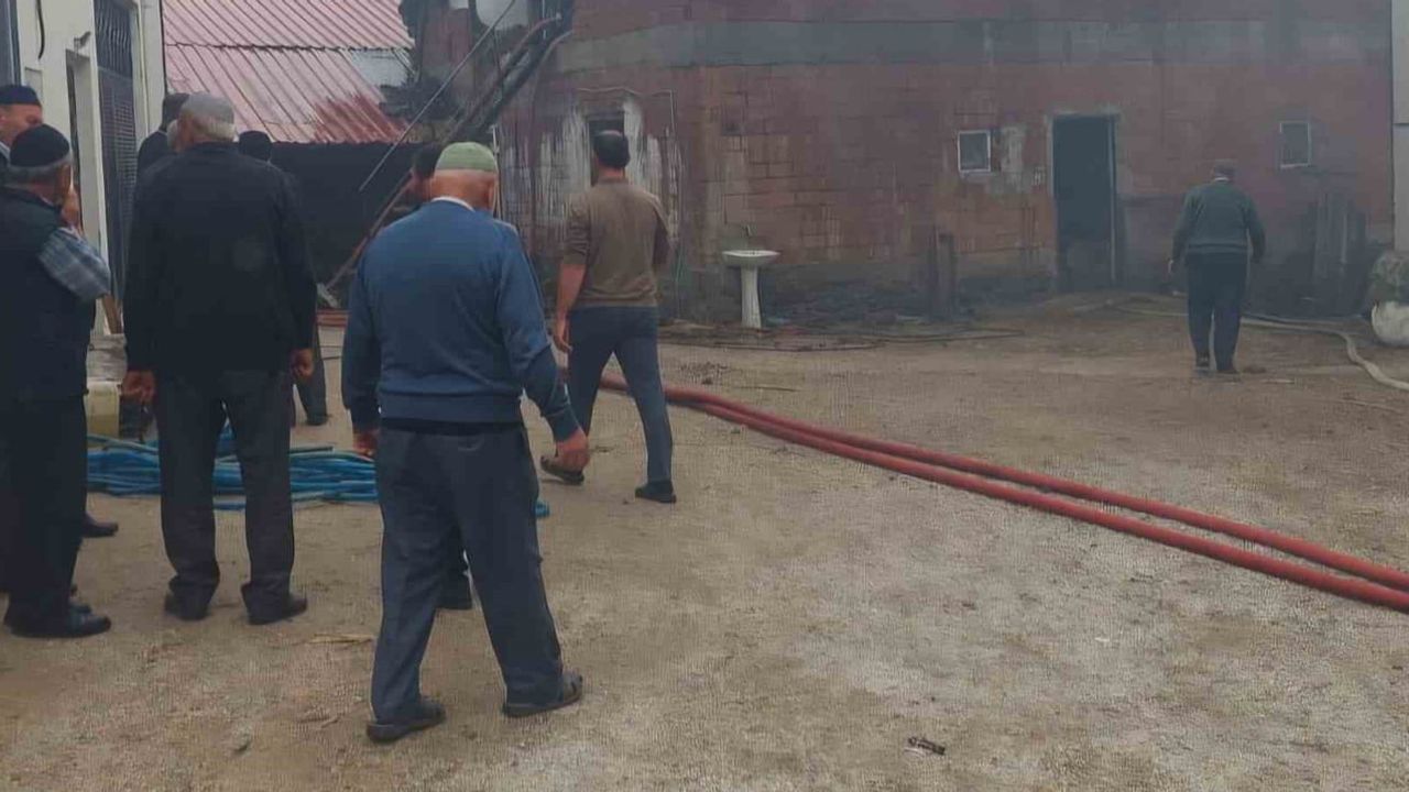 Vezirköprü'de alevler samanlıktan mahalleye sıçramadan durduruldu