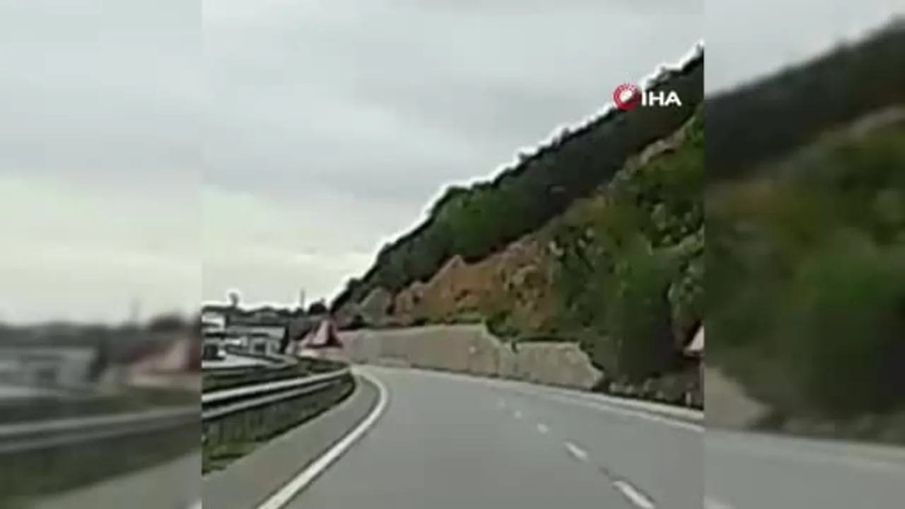 Yaralı geyiğin yardımına koşan aile trafiği tehlikesini giderdi