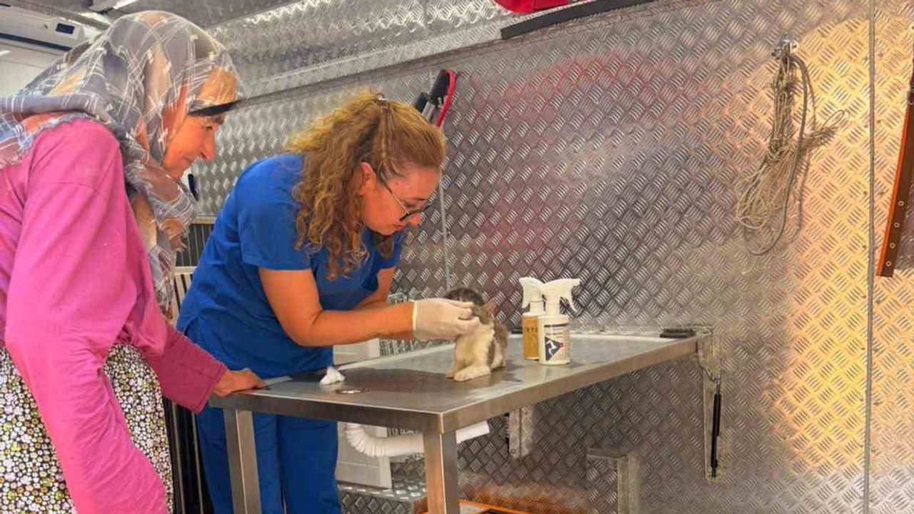 Yaraş’ta orman yangını sonrası can dostlara mobil müdahale