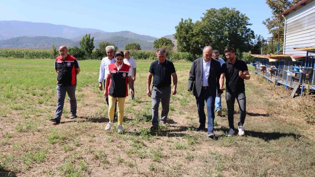Yatağan'da üreticinin emeğini öne çıkaran hasat şenliği