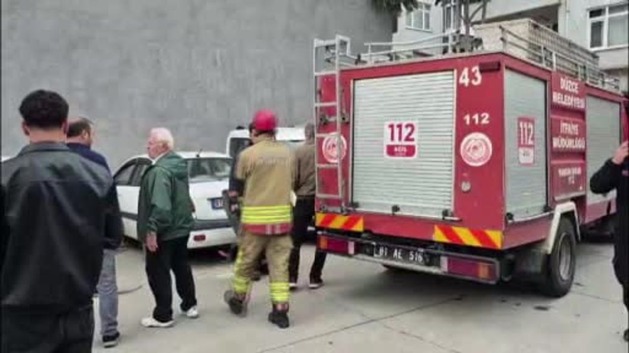 Yavru kedi itfaiyeyi iki araca koşturdu