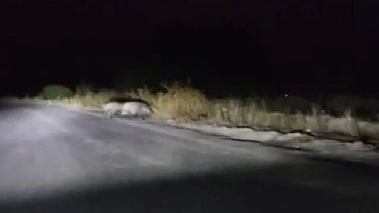 Yavruya pencereden yol tarifi veren sürücünün tebessümü