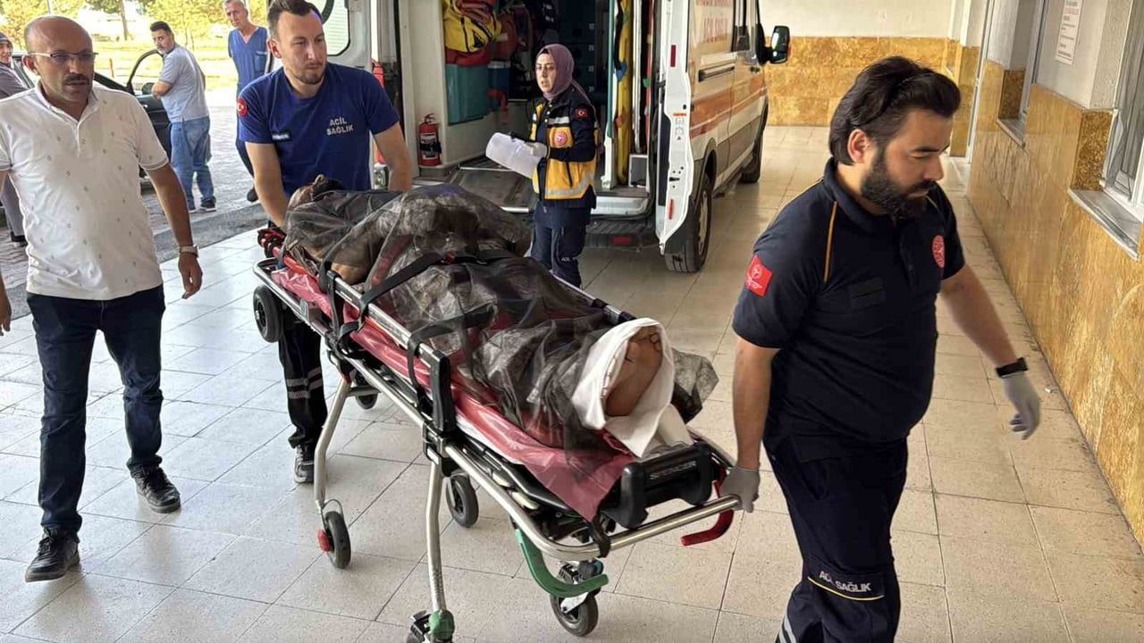 Yaylada ayının saldırısına uğrayan kişi helikopter ambulansla tedaviye sevk edildi