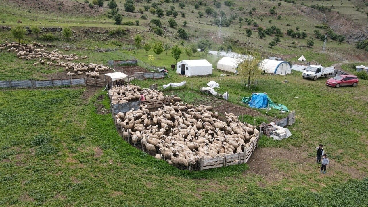 Yaylada geçen mevsimler: konargöçer ailelerin yaşamı