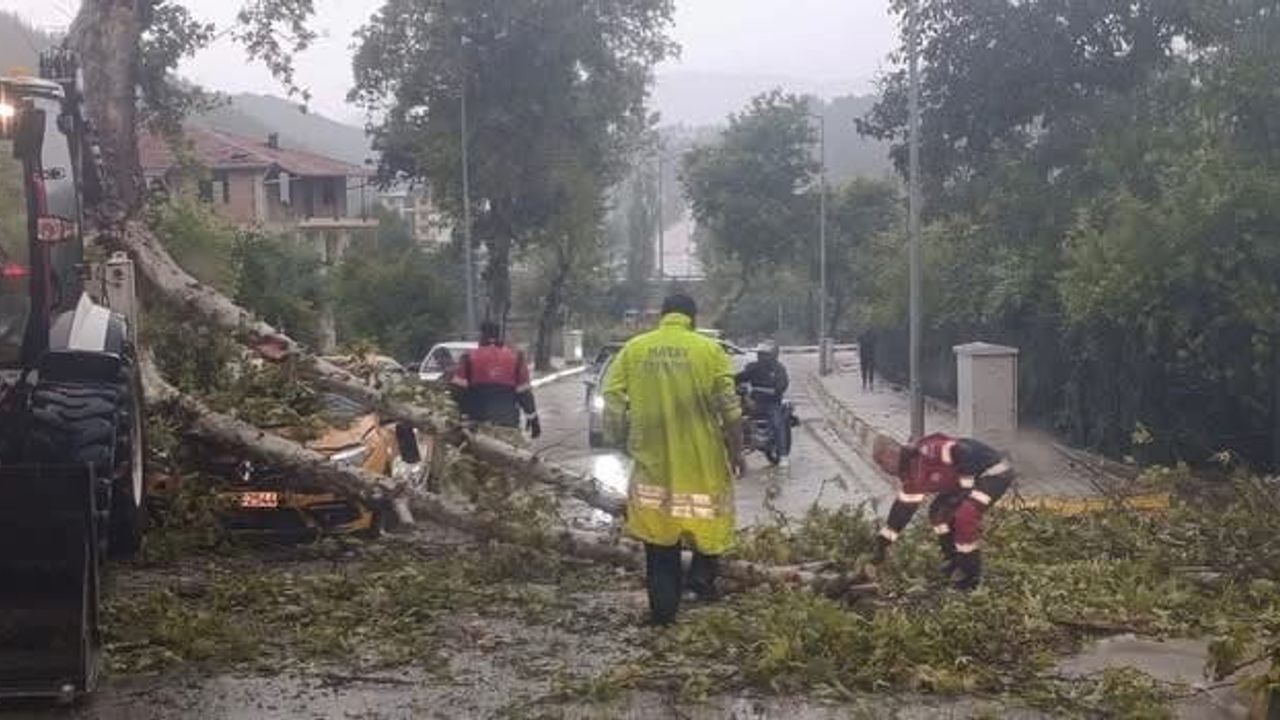 Yayladağı'nda fırtına ağaç devirdi, park halindeki araç ekiplerce kaldırıldı