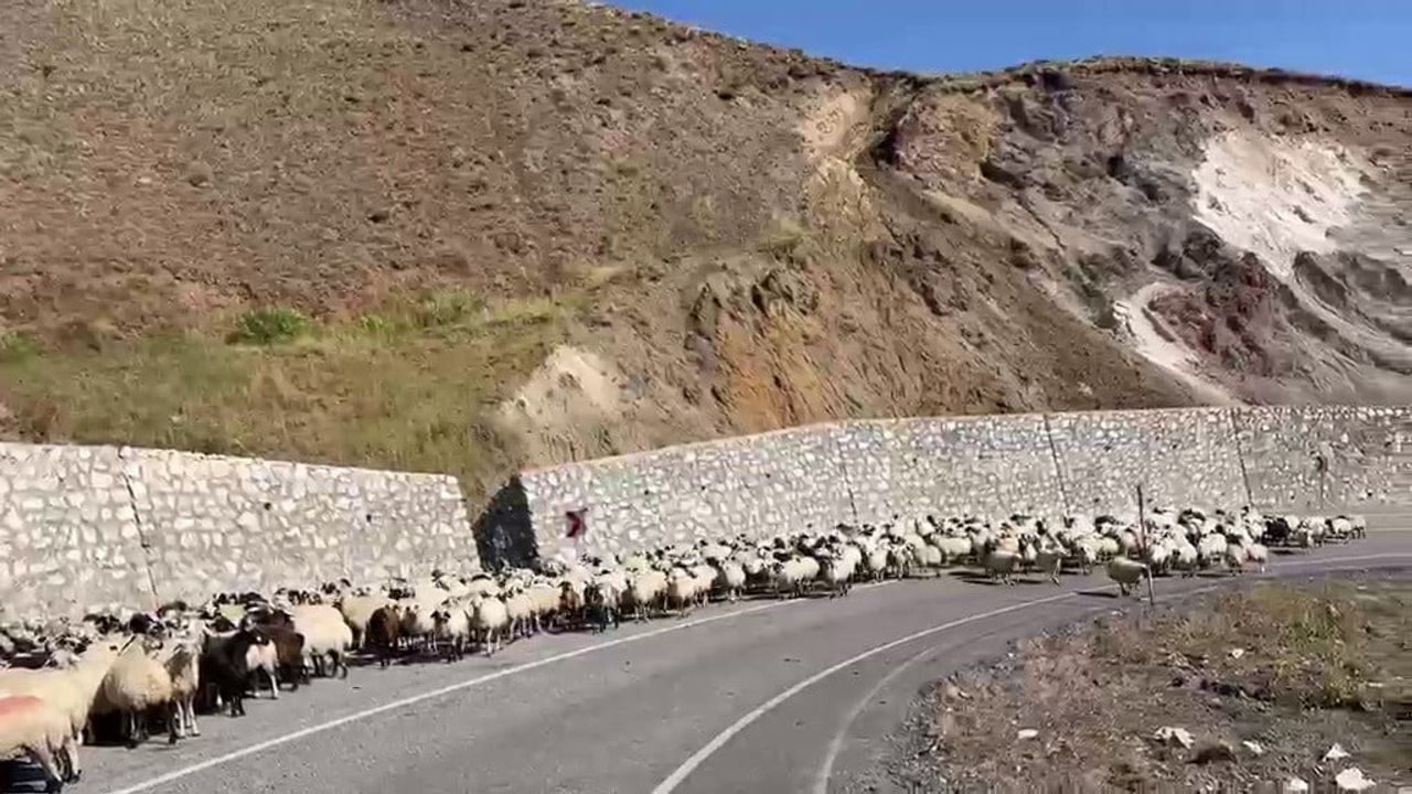 Yaylalardan kışa: Erzurum'da göçerlerin uzun dönüş mesaisi