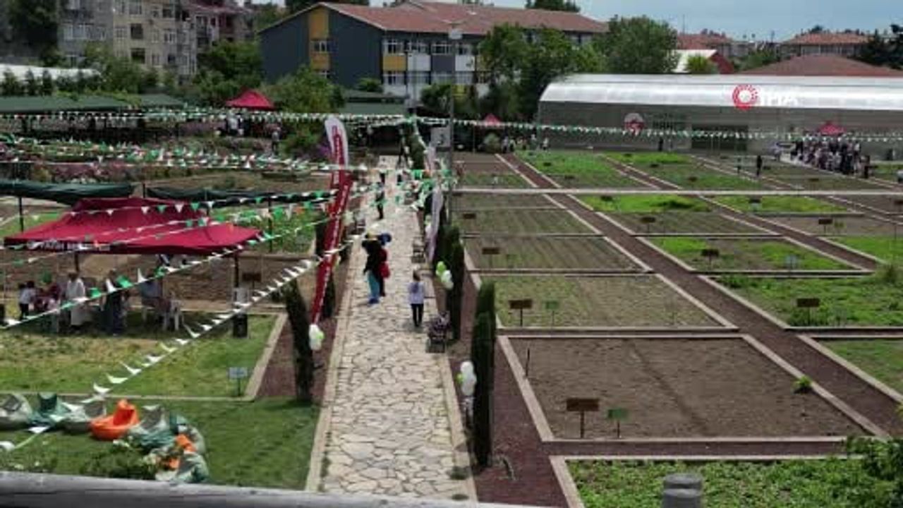 Yedikule bostanları tarihine uygun üretime dönüyor