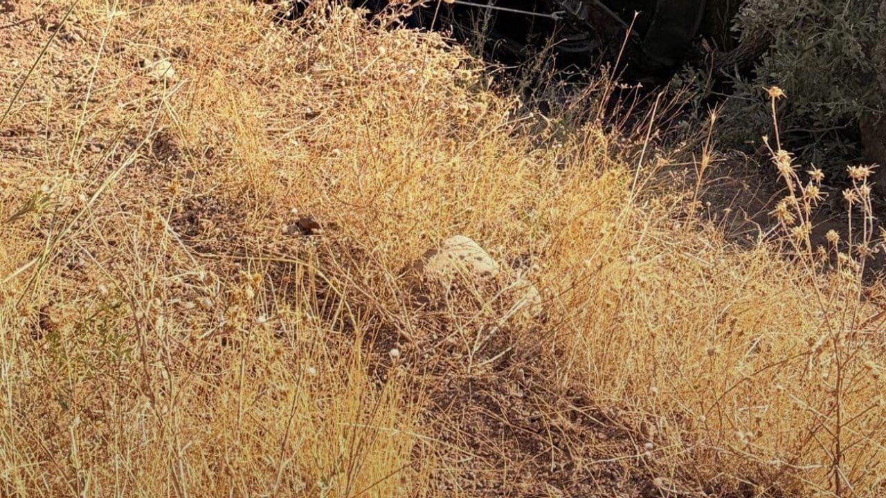 Yedisu'da araç dereye yuvarlandı: bir kişi hayatını kaybetti, dört kişi yaralandı