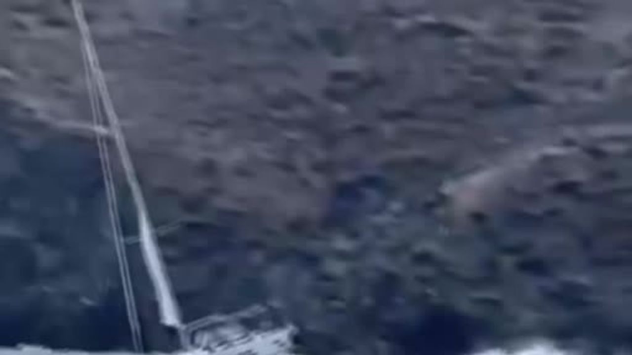 Yelkenli karaya oturdu: kayalıkta mahsur kalan iki kişi sahil güvenlik tarafından kurtarıldı