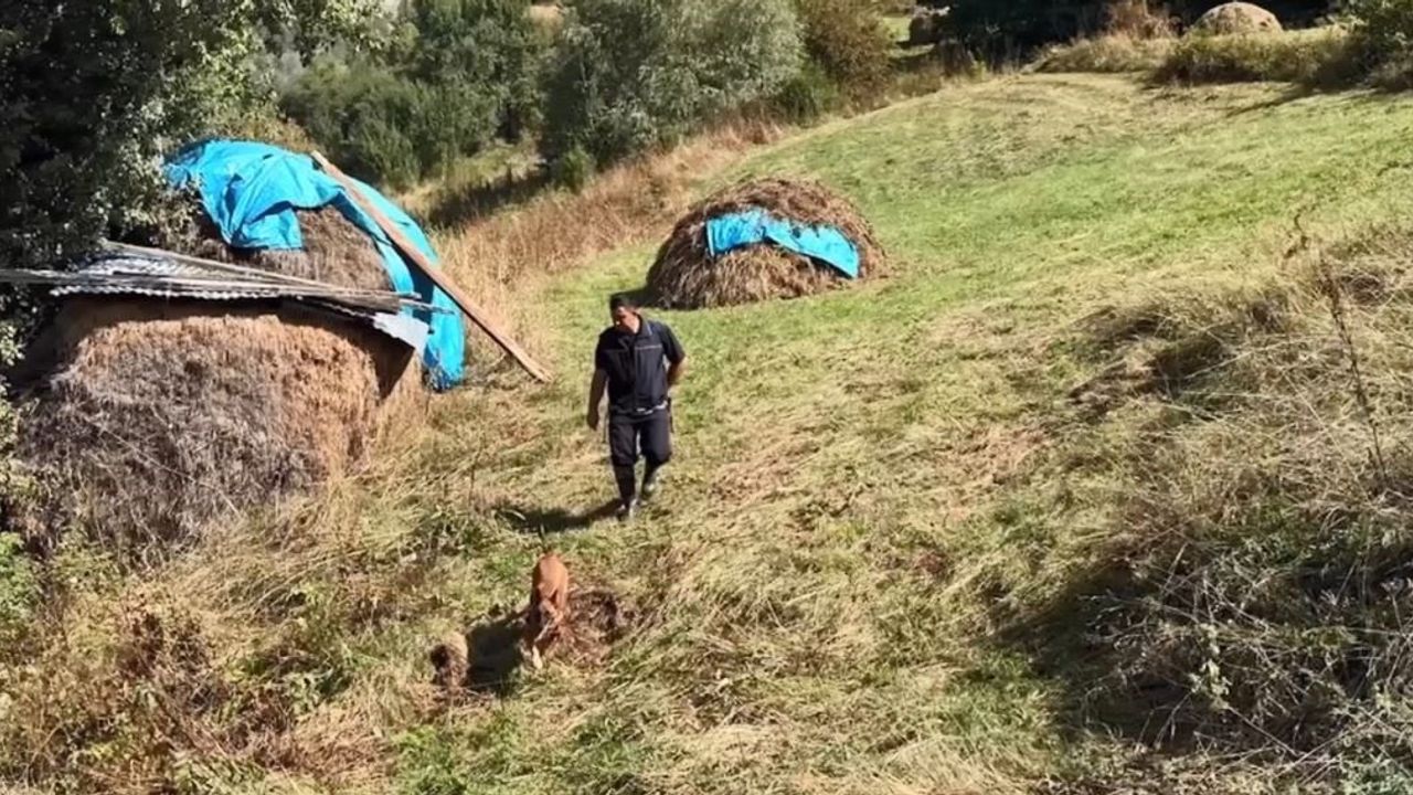 yeni kimlik başvurusu 30 yıllık kaybı gün yüzüne çıkardı: eş tutuklandı