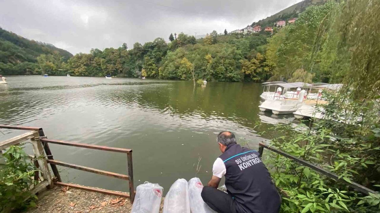 Yeni stoklarla nefes alan göl: Sera Gölü'ne 40 bin sazan bırakıldı