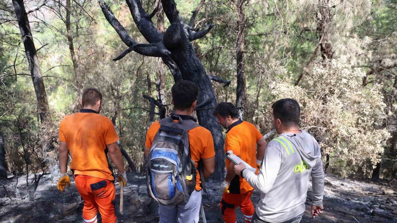 Yeniden yeşil için hummalı mesai: Kozan'da 5 bin 903 hektarda ağaçlar tek tek damgalanıyor